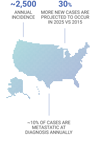 Map Chart mobile