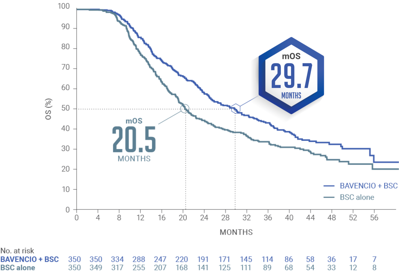 Long Term Analysis Graph