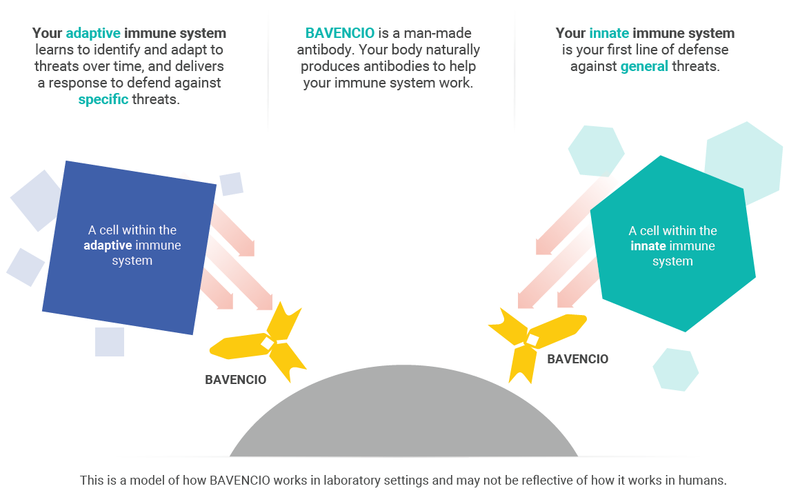 How Bavencio Works