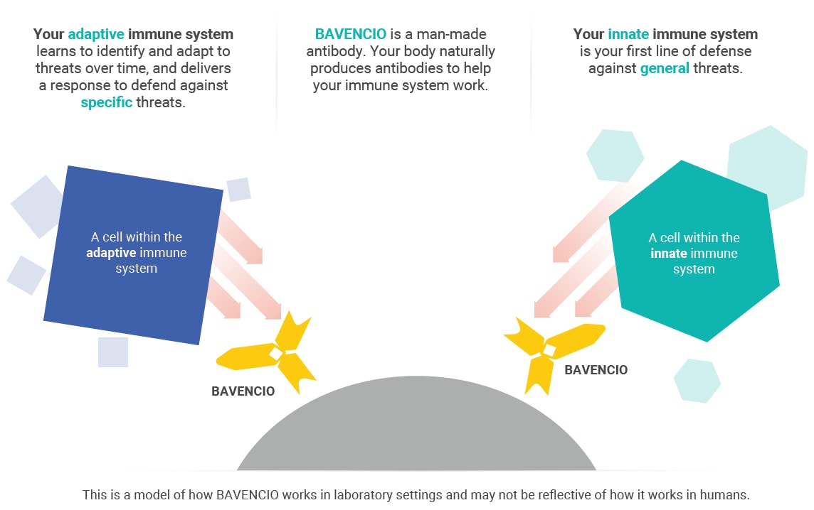 How-Bavencio-works