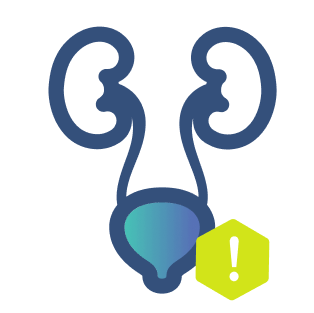 Bladder Cancer Risk Factors